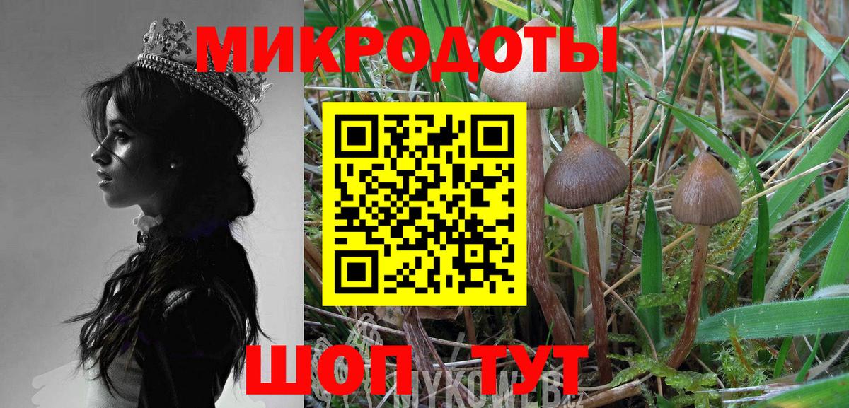 Галлюциногенные грибы Cubensis  Галлюциногенные грибы MAGIC MUSHROOMS  закладки  Вход с VPN  Новосибирск 