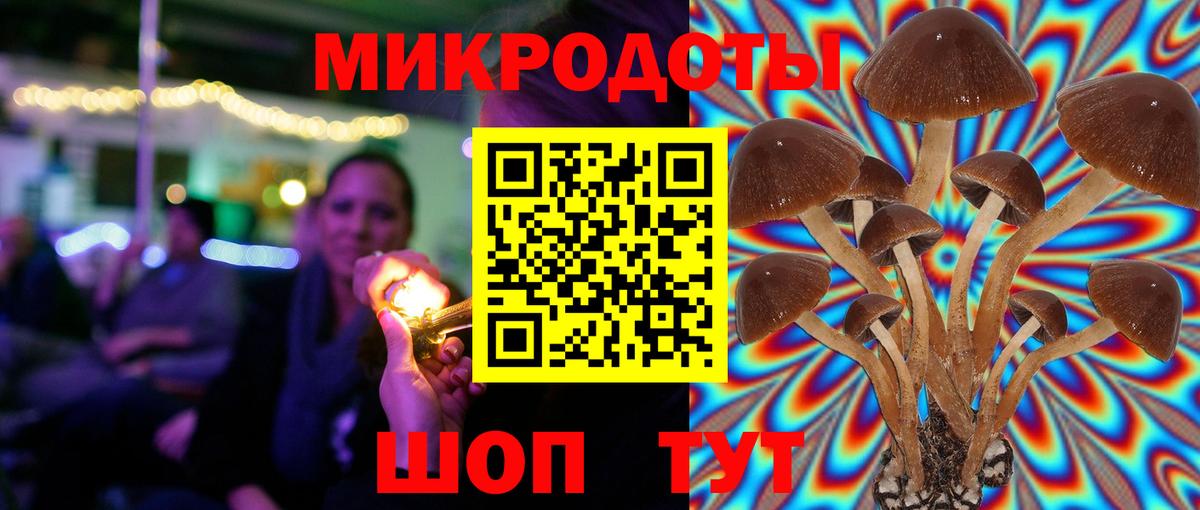 Галлюциногенные грибы мухоморы Новосибирск